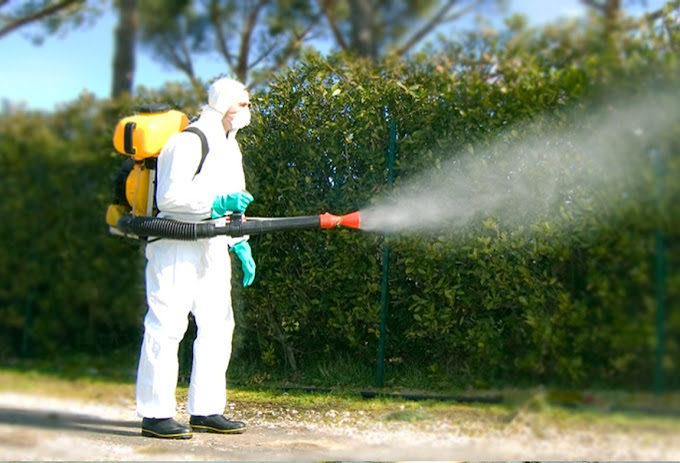 Professionista con attrezzatura spray